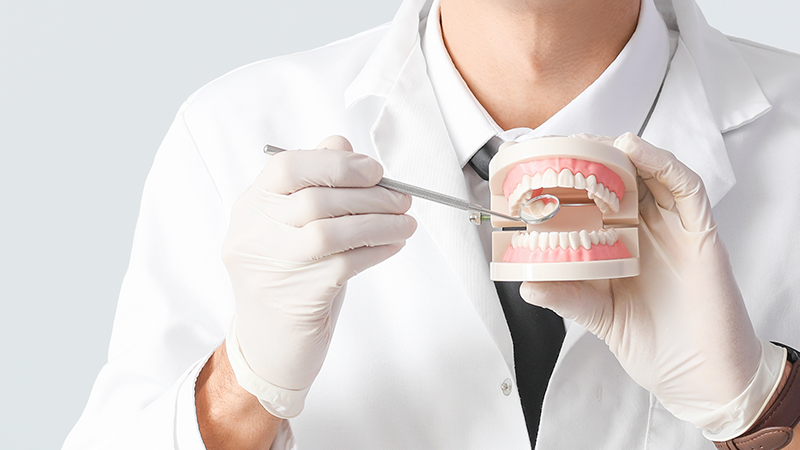 Diş Hekimliği Öğrencileri İçin 8 Temel Dental Malzeme